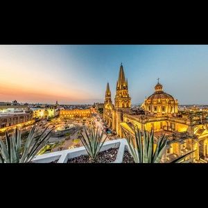 Meet your Posher, Samuel